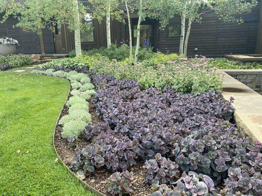 Garden Maintenance and Installations