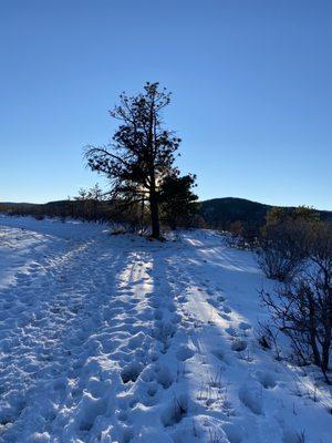 At Windy Point