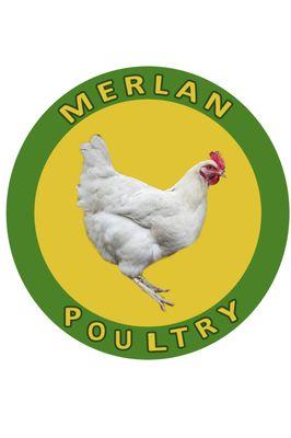 Freshly plucked and clean chickens available for pickup or delivery. Call ahead for orders.