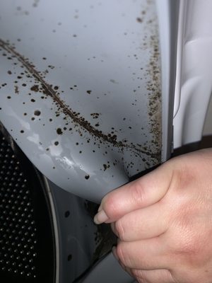 Mold in the washer. I took great care of this washer even though it wasn't my own