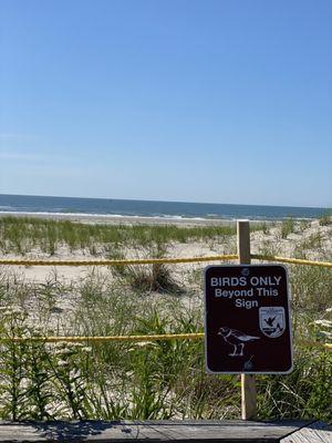 Cape May National Wildlife Refuge