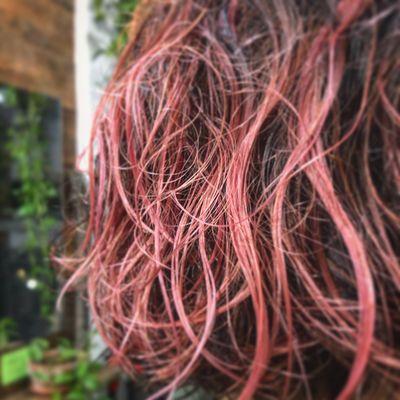 Red highlights