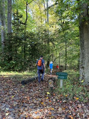 Pipsico Scout Reservation