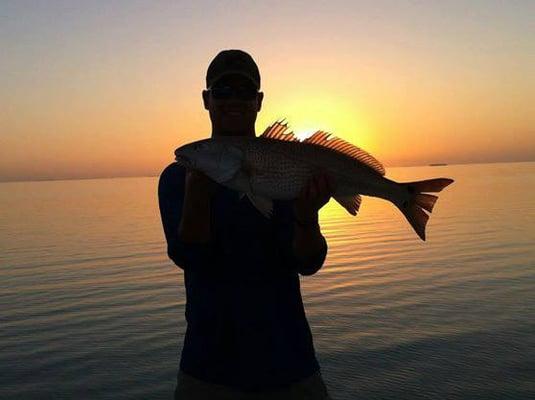 Redfish.