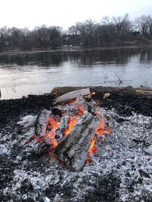 Shoreline Clean Up