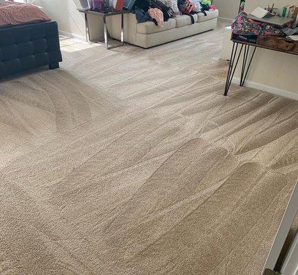 carpet cleaning