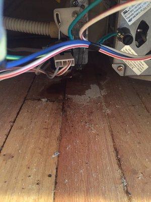 Leaking GE Dishwasher