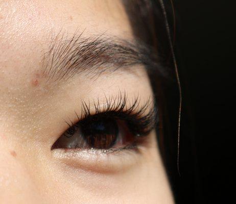 Classic Lash Extensions; 1 extension to 1 natural lash