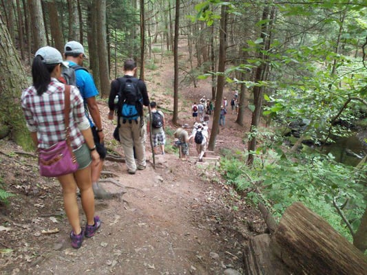 Group Hiking Tour For Corporate Team Building!