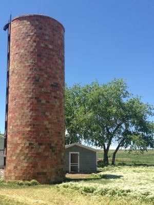 Silo and chicken coop (oldest homestead on the property)