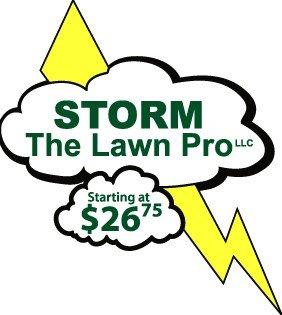 Storm the Lawn Pro