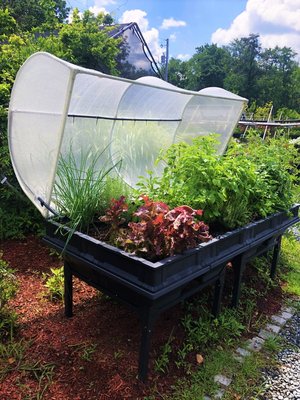 Large Vegepod Raised Garden  (as seen on Shark Tank) planted and on display.