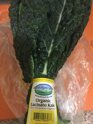 Organic Lacinato Kale