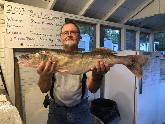 Beautiful 29 1/2" Walleye!