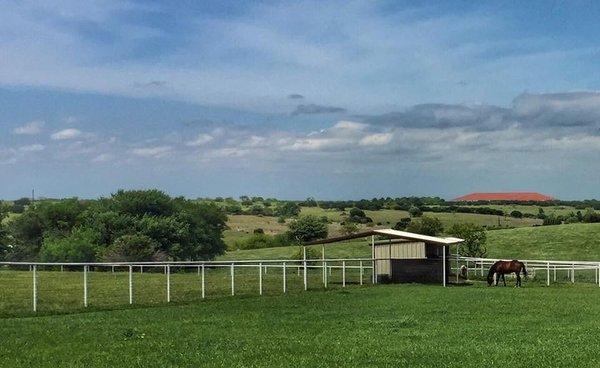 Large Pastures