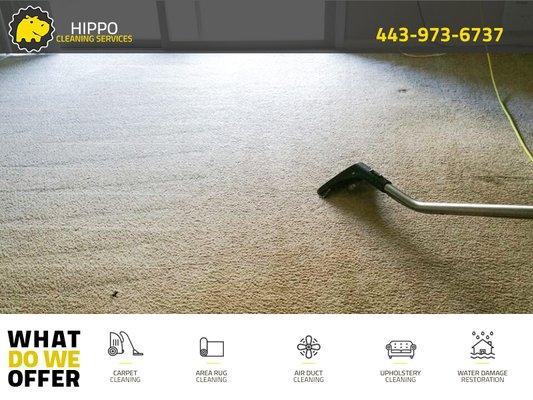 Hot Water Extraction Carpet Cleaning Experts - Hippo Cleaning Services