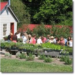 A Thyme To Plant Herb Farm