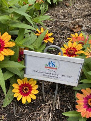 Plant markers