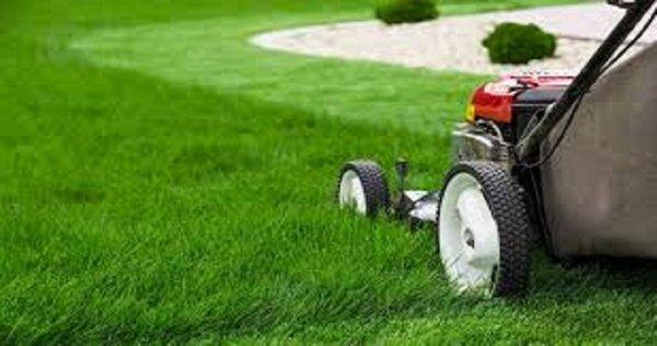 Green Grass Fertilization and Pest Control