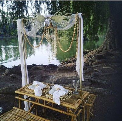 Luxury Date Night Set ups or Proposal Picnics... perfect for an anniversary too!