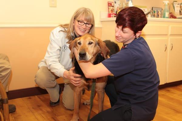 Dr. Hansen and veterinary assistant, Sarah examining a patient.