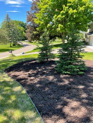 Simple Mulch and Tree installation.