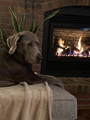 My wife and I aren't the only ones enjoying our new fireplace from Ablaze!