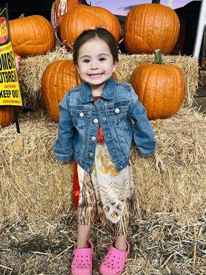 Mr. Jack O' Lanterns Pumpkins