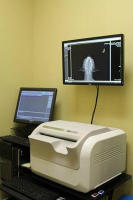 Digital radiography allows us to have a radiologist quickly review your pet's xrays