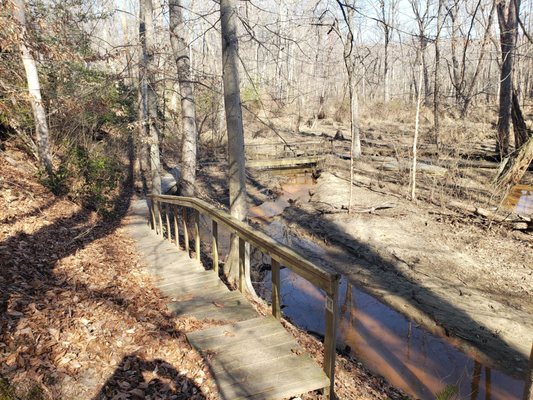 Where several trails meet- lot of bird activity