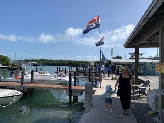 Tavernier Creek Marina