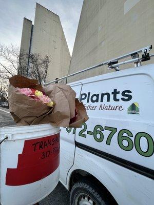 Trans-Plants Delivery Vehicle with Flowers