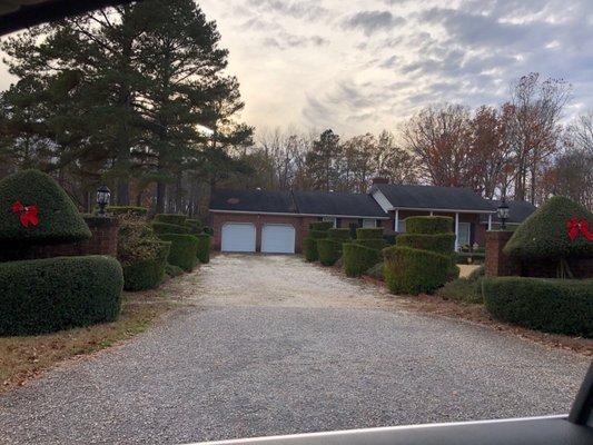 Pearl Fryar's Topiary Garden