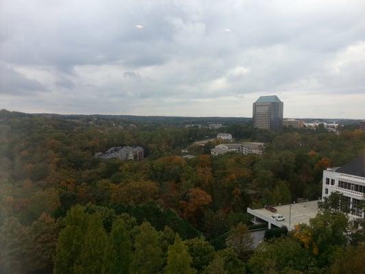 The wonderful green horizon that is still not all that rare as seen from Atlanta high rises