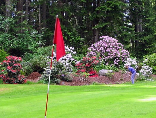 Backdrop to #2 green