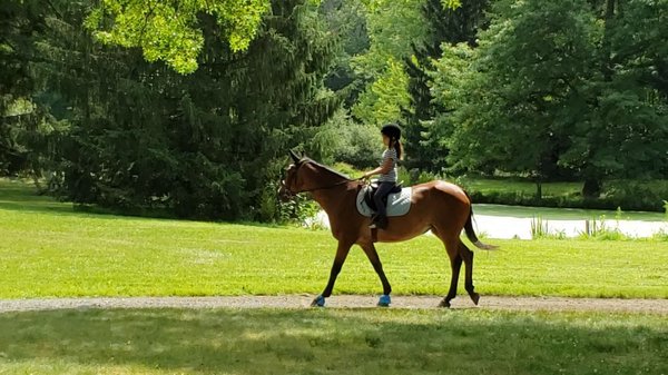 SRS Rider on her own horse!