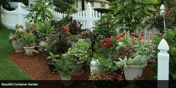 Dr Dirt Landscape Designs