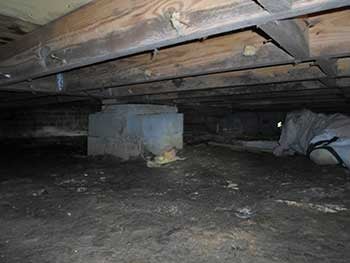 Crawlspace Encapsulation, Clean Up, Restoration