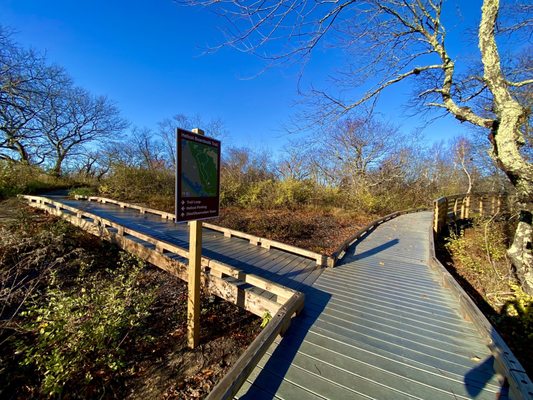 Several offshoots with nice views - and are well marked with trail maps