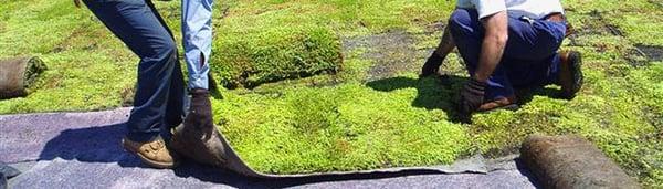 Grand Rapids Green Roofing Contractor