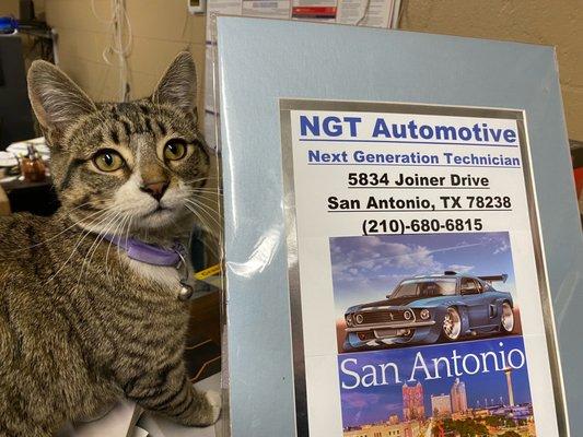 Boots the cat, reception.