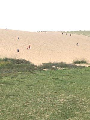 So much fun at Sleeping Bear Dunes