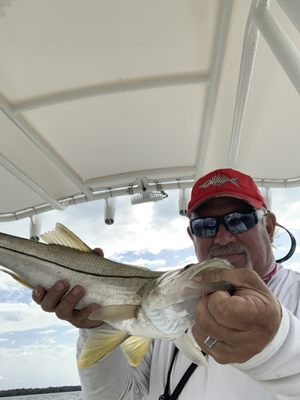 Today's snook catch means they have moved out of the back country and have begun the migration to the islands ans beaches !