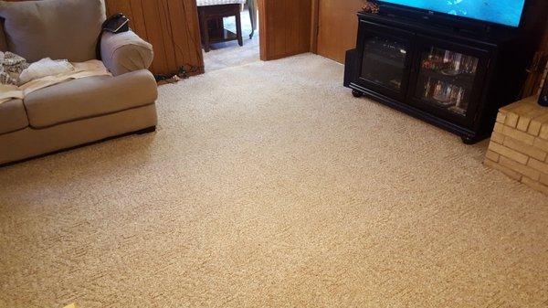 Parker Carpet Cleaning