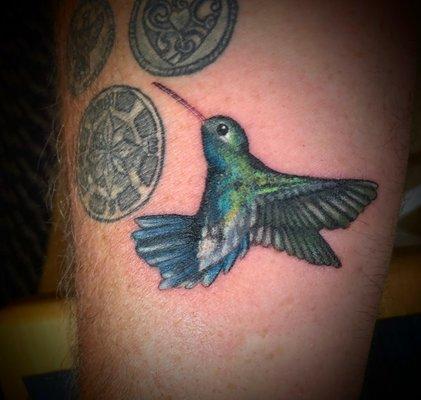 Color realism | hummingbird