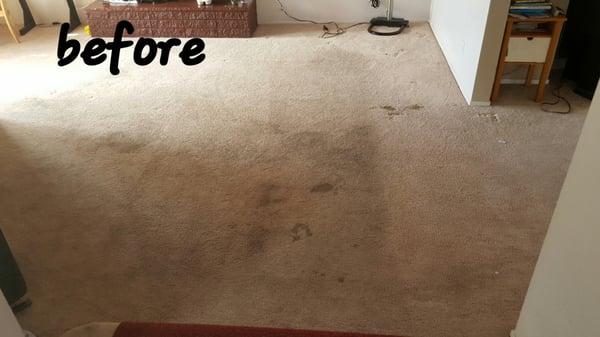 Sunset Carpet Cleaning