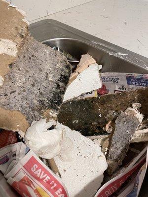 Black toxic mold & asbestos from kitchen roof that was just left in sink with tenant who has acute bronchitis was not re-housed by Matt.