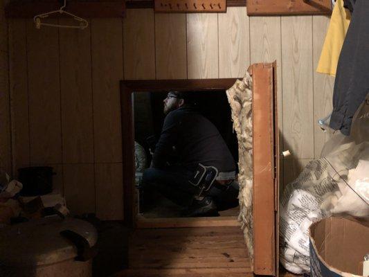 attic inspections