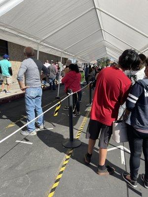 DMV line at 2:30pm on a Monday.