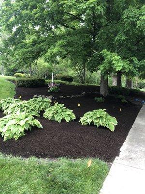 Trimming, edging and Mulch